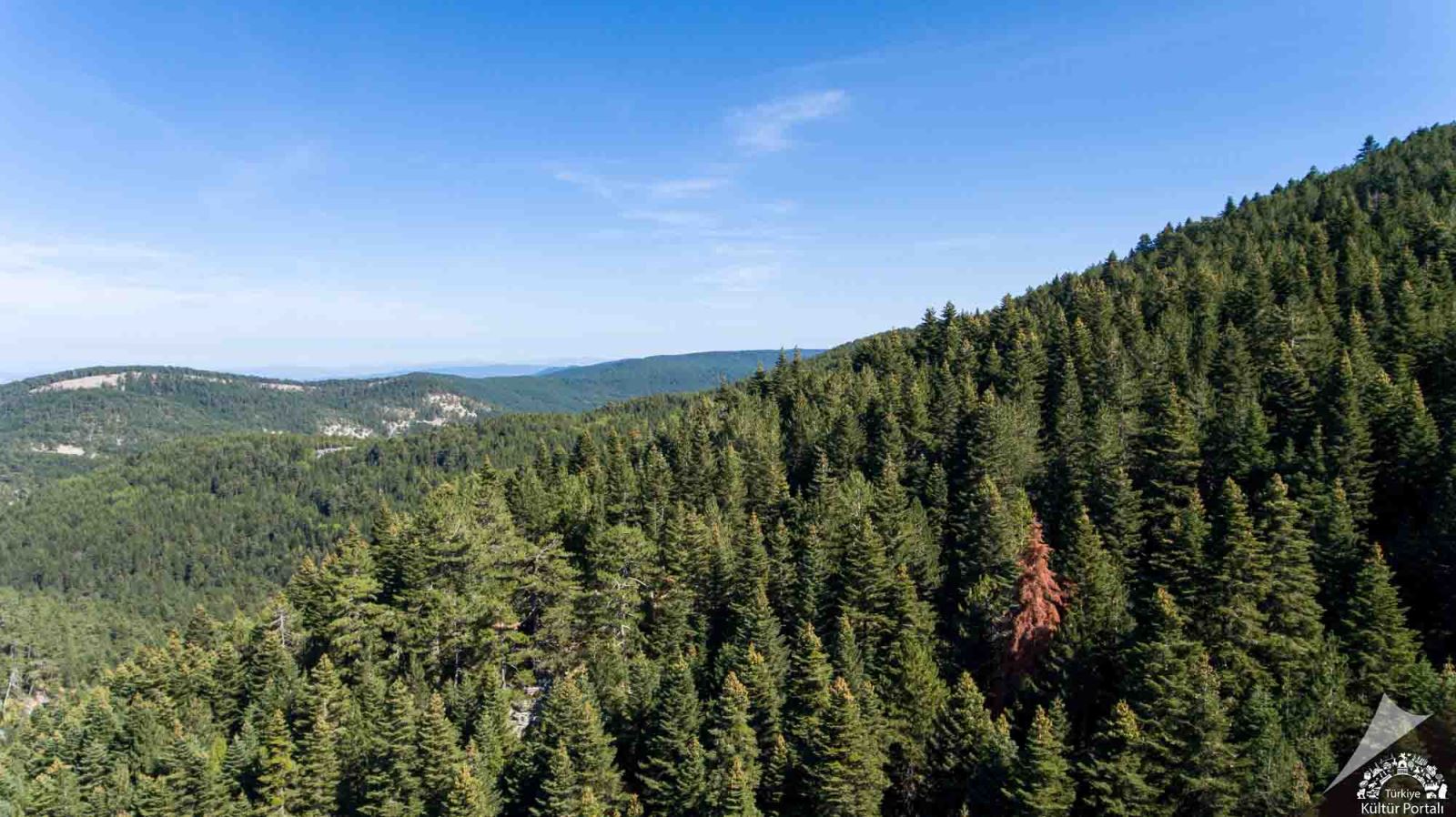 Kazdağları: Mitolojik Hikayeler, Doğal İhtişam ve Lezzetli Zeytinyağı