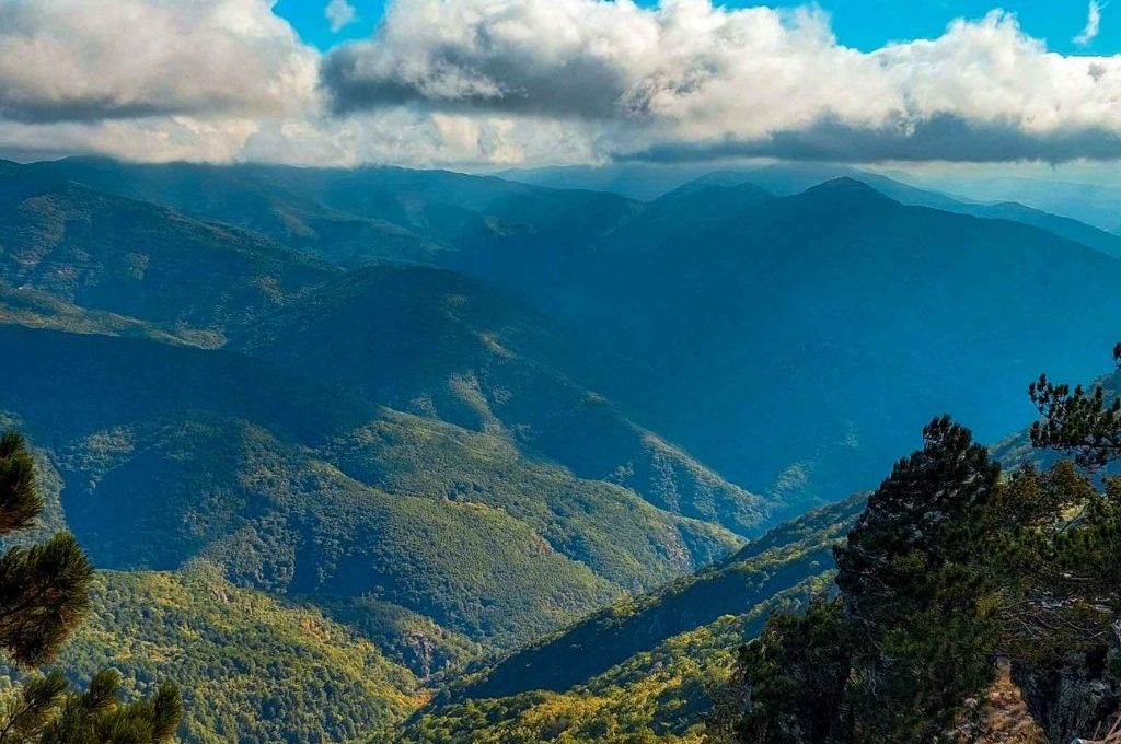 Kazdağları: Mitolojik Hikayeler, Doğal İhtişam ve Lezzetli Zeytinyağı