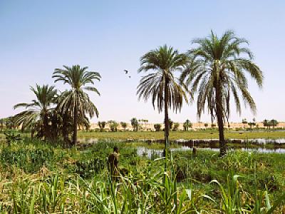 Nijerya – ülke fotoğrafı