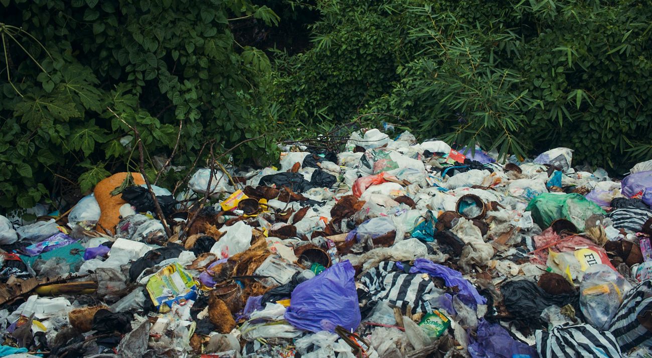 Doğada Hijyen Yönetimi: Su Tasarrufu, Yıkanma Teknikleri ve Doğayı Koruma