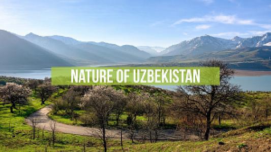 Özbekistan – ülke fotoğrafı