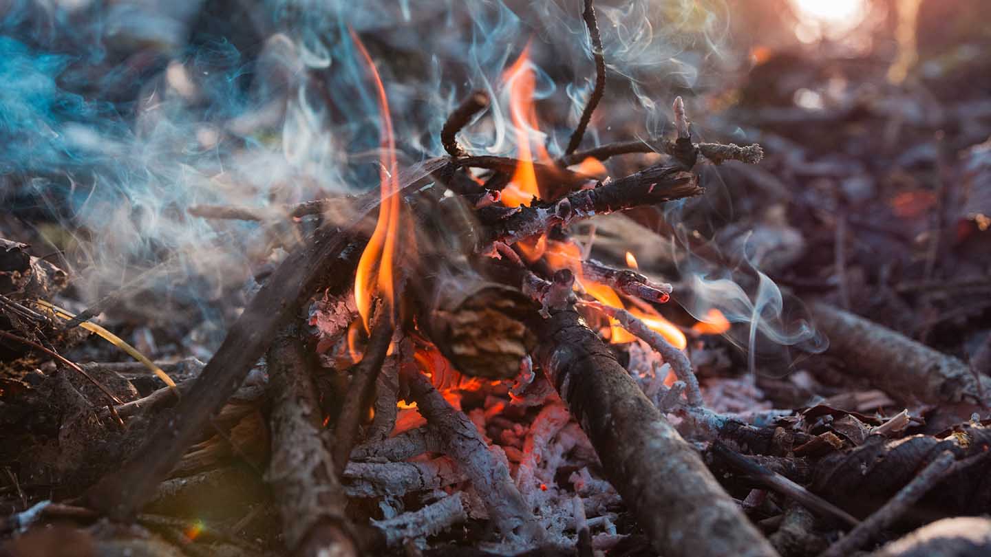 Doğada Kaybolma Durumunda Hayati Rehber: STOP Protokolü, Sinyal Verme ve Barınak Yapımı
