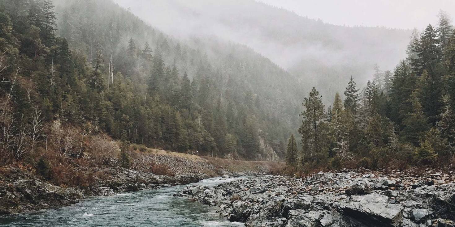 Doğada Kaybolma Durumunda Hayati Rehber: STOP Protokolü, Sinyal Verme ve Barınak Yapımı