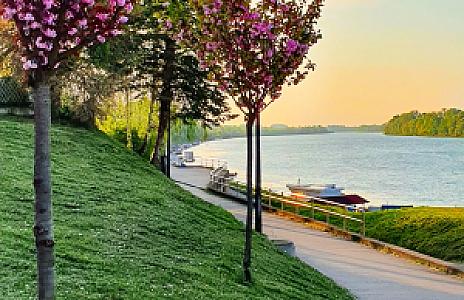Brčko Bölgesel Birlik – Bosna Hersek fotoğrafı