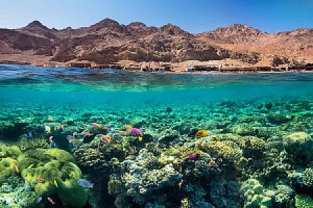 Red Sea – Mısır fotoğrafı