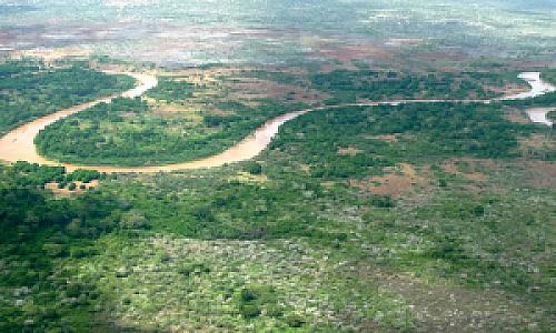 Tana River – Kenya fotoğrafı