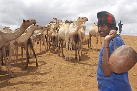 Wajir – Kenya fotoğrafı