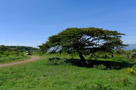 Tharaka-Nithi – Kenya fotoğrafı