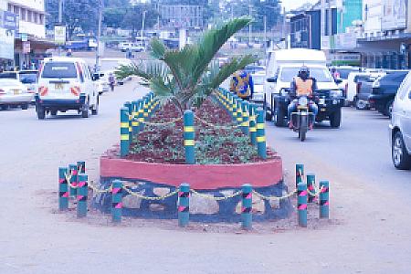 Trans Nzoia – Kenya fotoğrafı