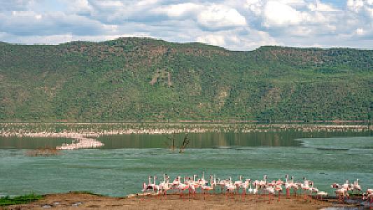 Baringo – Kenya fotoğrafı