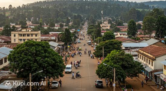 Kakamega – Kenya fotoğrafı