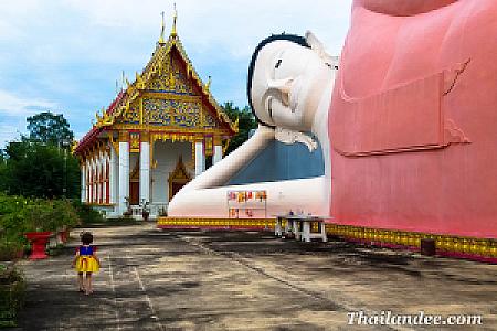 Chainat – Tayland fotoğrafı