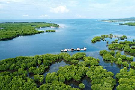 Isabela – Filipinler fotoğrafı