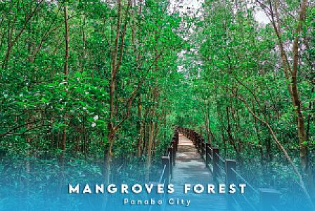 Panabo – Filipinler fotoğrafı