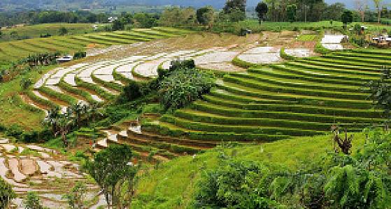 San Carlos (Negros Occidental) – Filipinler fotoğrafı