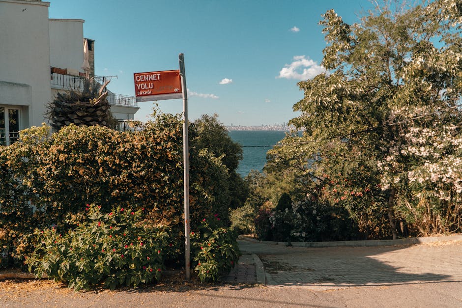 Özbekistan: İpek Yolu'nun Kalbi, Tarih ve Kültürün Buluştuğu Vizesiz Destinasyon