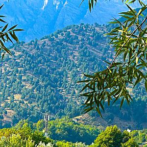 Kapisa – Afganistan fotoğrafı