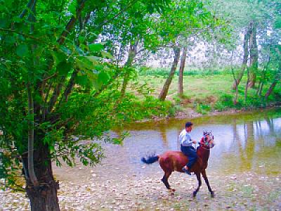 Logar – Afganistan fotoğrafı