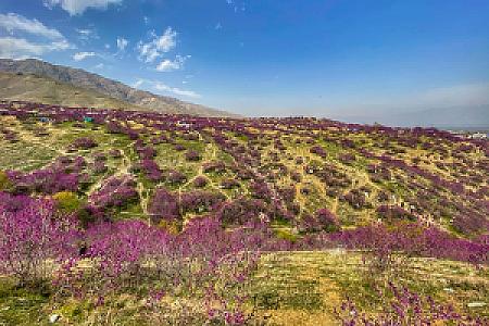 Parvan – Afganistan fotoğrafı
