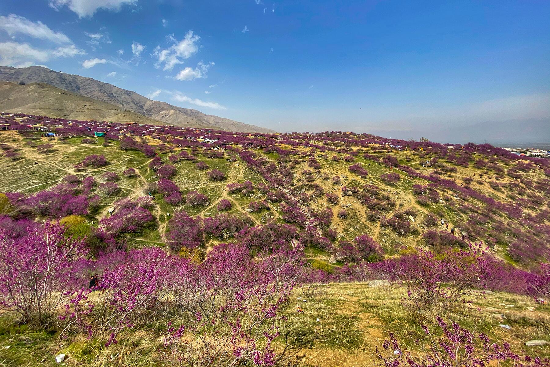 Parvan – Afganistan fotoğrafı