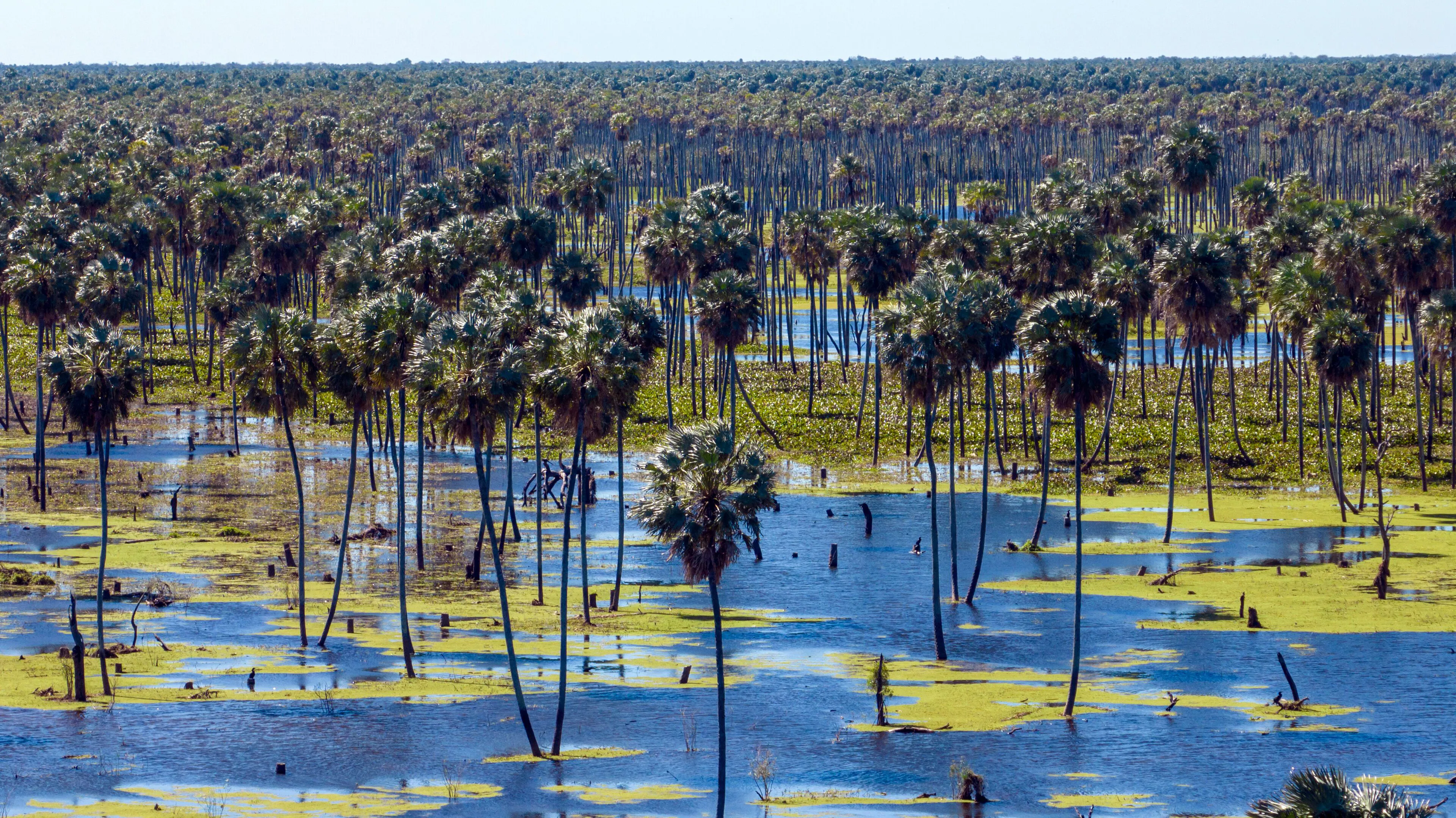 Formosa – Arjantin fotoğrafı