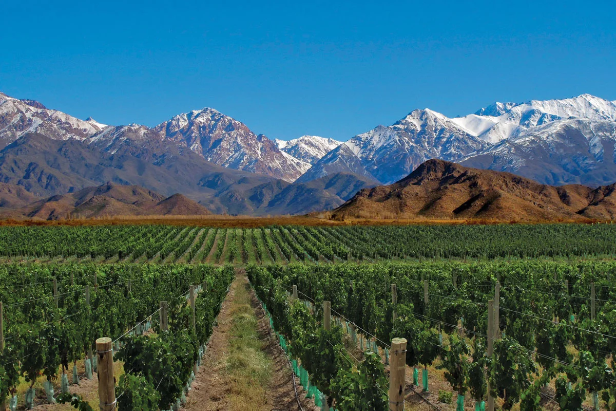 Mendoza – Arjantin fotoğrafı