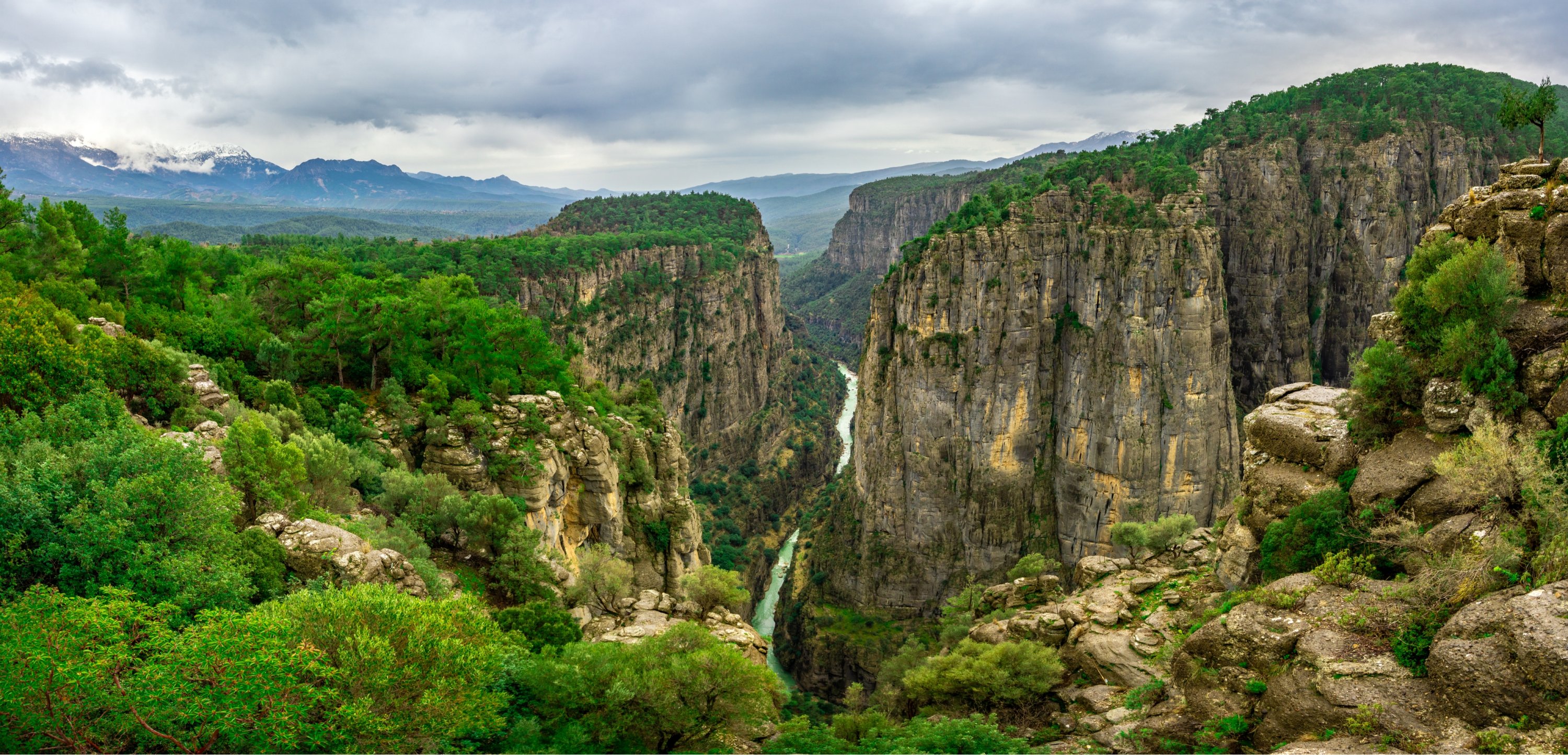Tazı kanyon