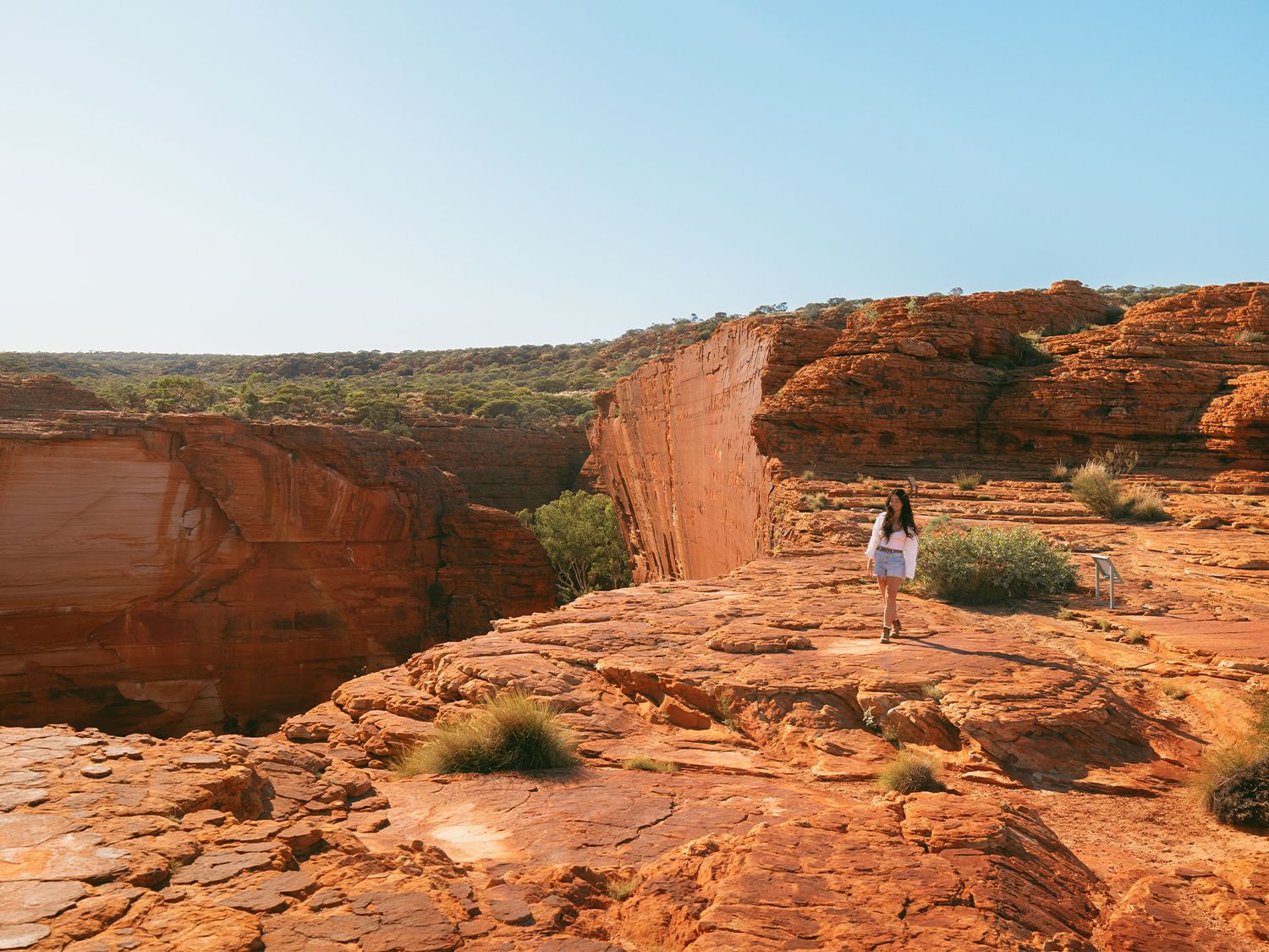 Canyon of Defiance camp