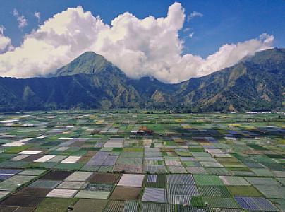 Trail Head ~ Sembalun