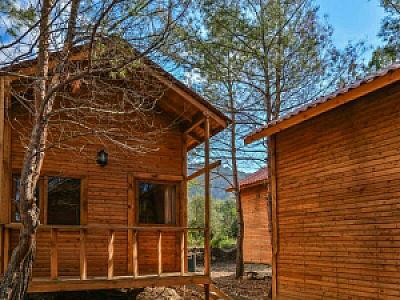 Karadere Park Orman, Muğla fotoğrafı