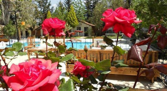 Likya Bahçe Yaşam, Muğla fotoğrafı