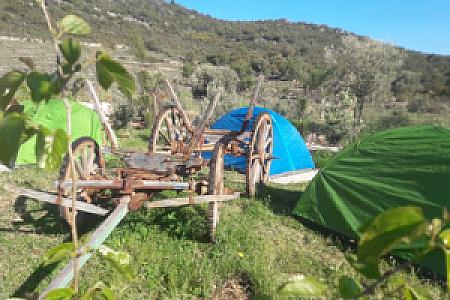 Lykia Kamp & Kafe, Antalya fotoğrafı