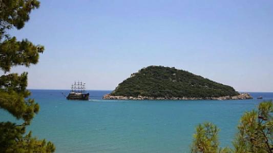 Ağaçtaki Kaplumbağa, Antalya fotoğrafı