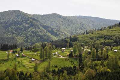 Rimal - D595 (Patika/Trekking Rotası) – 62.70 km macera rotası