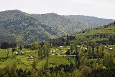 Rimal - D595 (Patika/Trekking Rotası)